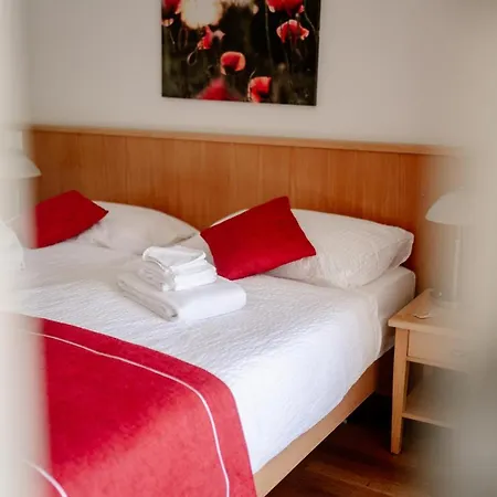 Parkhotel Emmaus - Casa Del Sole 3* Ασκόνα